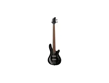 Harley Benton B-550FL 5-string Fretless Bass Guitar