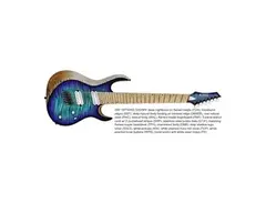 Kiesel AM7 (Aries Multi-scale)