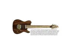 Carvin TL70 main image
