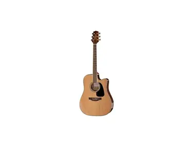 Takamine GD51-CE