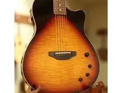 Anderson Guitarworks Crowdster Plus main image