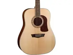 Washburn D10S