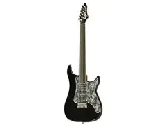 Vigier Excalibur Surfreter Supra Fretless Guitar main image