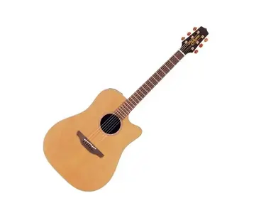 Takamine EAN10C