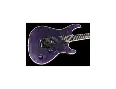 Mayones Regius 6 Custom