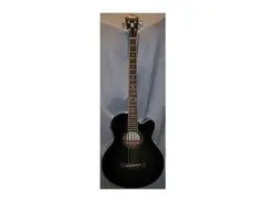 Ibanez 2015 AEB20E-TKS main image