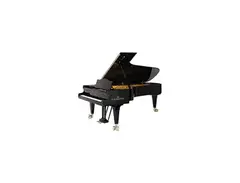 Bechstain E Grand Piano