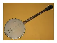 Framus Tenor Banjo main image