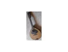 Thüringer Waldzither main image
