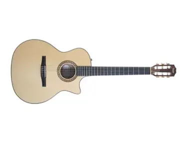 Taylor NS64-CE