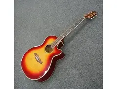 Rogue acoustic/electric guitar 50811ca main image