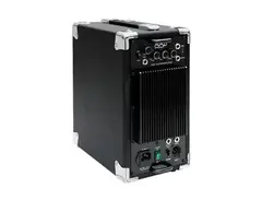 Phil Jones CUB AG-100 Acoustic Guitar Amplifier - What To Know