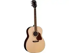 Washburn LSJ743S main image