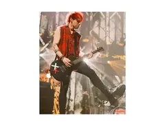 Custom Gibson Michael Clifford Les paul junior singlecut