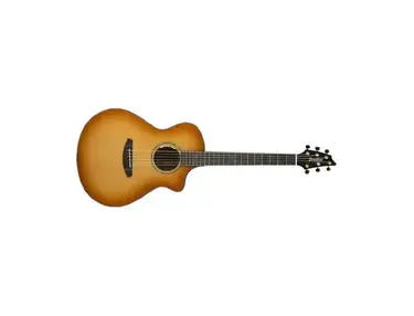 Breedlove Legacy Concert