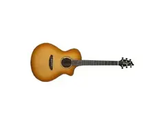 Breedlove Legacy Concert main image