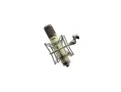 Avantone BV-12 Custom Tube Microphone main image