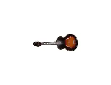 S.S. Stewart Archtop