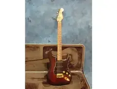 Fender Walnut "The Stratocaster"