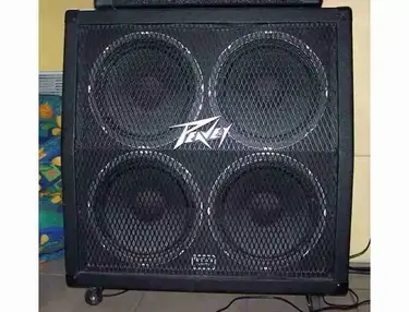 Peavey 4x12 cabinet