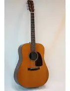 Martin D-21 main image