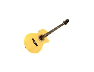 Woodstock Electro-Acoustic