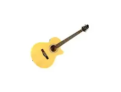 Woodstock Electro-Acoustic main image