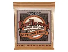 Ernie Ball Earthwood 12-String Acoustic Guitar Strings (9-26/46)