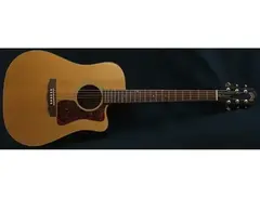 Guild True American dc-1e nt