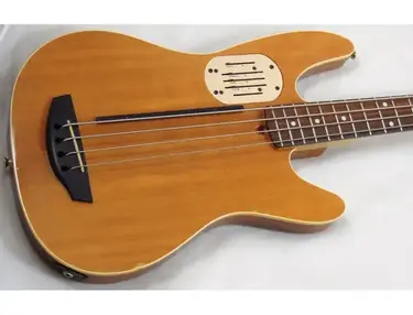 Godin LR Baggs Acoustibass