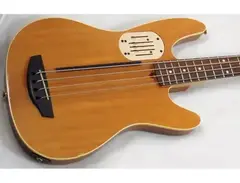 Godin LR Baggs Acoustibass main image
