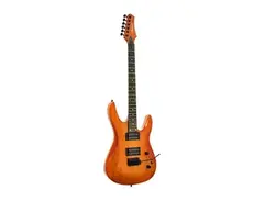 Palmer Guitars Slingshot STD main image