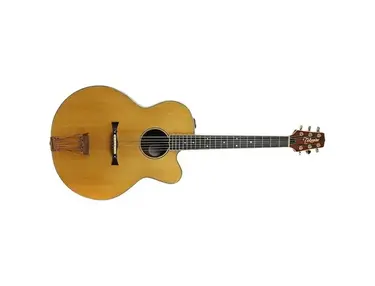 Takamine J-15E