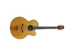 Takamine J-15E main image