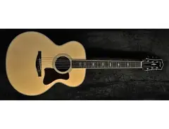 Collings SJ