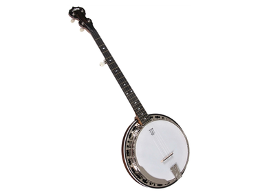 Deering Deluxe Banjo