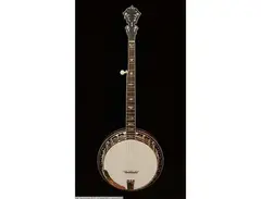 Stelling Staghorn Banjo