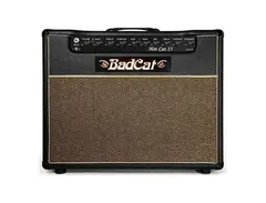 Bad Cat Hot Cat 15