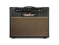 Bad Cat Kool Cat 30 main image
