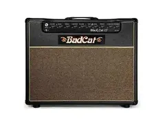 Bad Cat Black Cat 15 Combo Amp