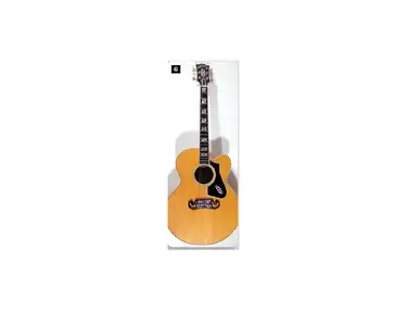 Gibson B-20N