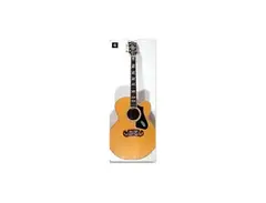 Gibson B-20N main image