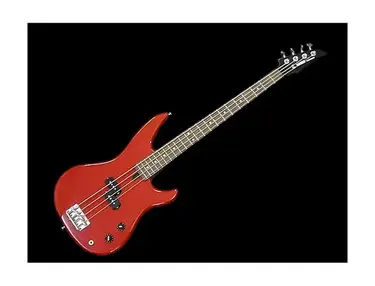 Yamaha RBX200