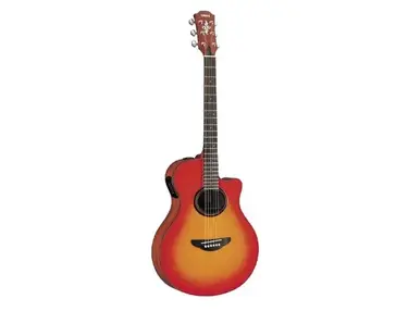 Yamaha APX3