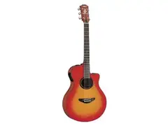 Yamaha APX3 main image