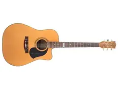 Maton TE-1 Tommy Emmanuel Signature Acoustic main image