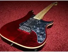 Vigier Excalibur Custom