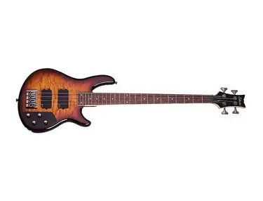 Schecter Raiden Elite 4