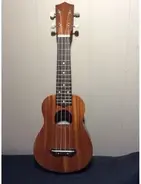 Waikiki Ukulele Company WS13 main image