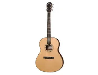 Larrivée Guitars L-09